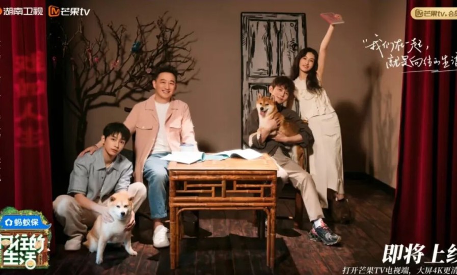 黄磊不下厨，《向往的生活8》变味了？